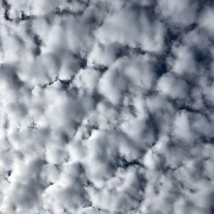 Meet your Posher, Sheri